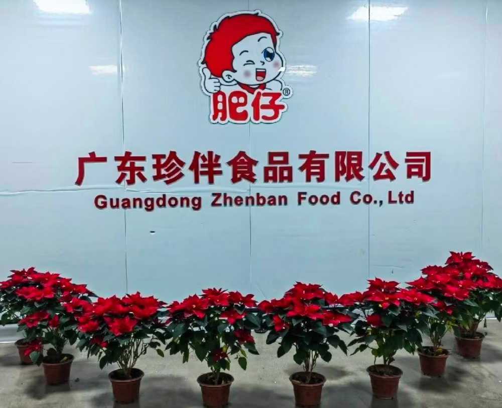 珍伴食品用友ERP项目
